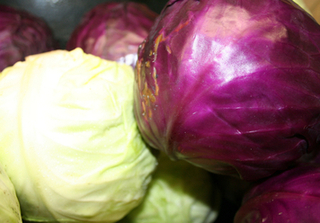 Cabbages